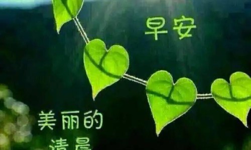 神经牙有中药配方吗能治好吗-神经牙有中药配方吗网—知名的牙神经疼中药可以根治吗网站,分享牙神经痛的中药配方知识